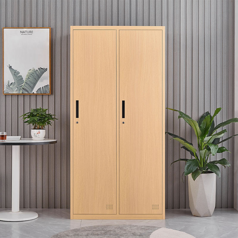 Heißverkaufsflächen sparen 2 Türen Metall Sports Beach Garderobe Locker Holz wie Schrank