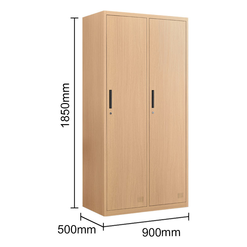 Heißverkaufsflächen sparen 2 Türen Metall Sports Beach Garderobe Locker Holz wie Schrank